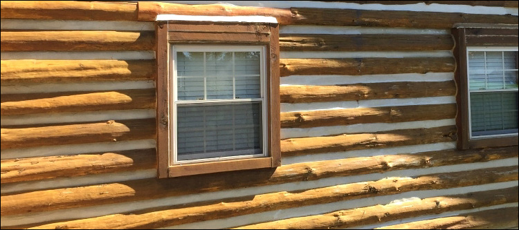 Log Home Whole Log Replacement  Arlington County, Virginia