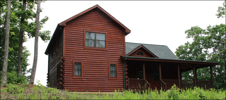 Professional Log Home Borate Application  Arlington County, Virginia