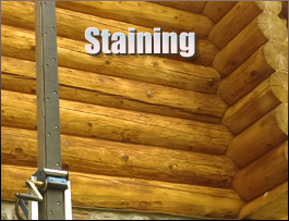 Arlington County, Virginia Log Home Staining